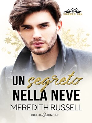 cover image of Un segreto nella neve